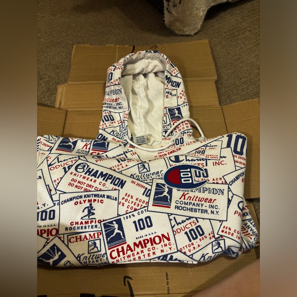 champion hoodie